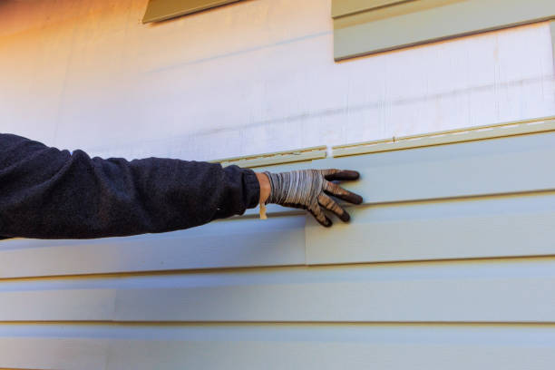 Professional Siding in Benld, IL